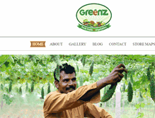 Tablet Screenshot of greenzstores.com
